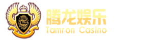 腾龙官网